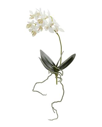 Nearly Natural Set Of 6 13In Mini Orchid Phalaenopsis Artificial Flower