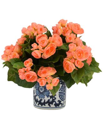 Creative Displays Inc. Peach Begonia Floral Arrangement