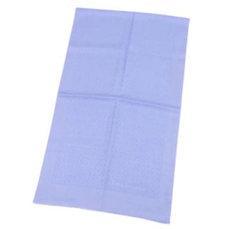 Ferragamo Pre-owned Stole - Dames - Pre-owned - Blauw - Maat: ONE Size Zijde