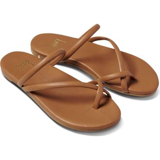 beek Sunbird Slide Sandal in Tan at Nordstrom, Size 11