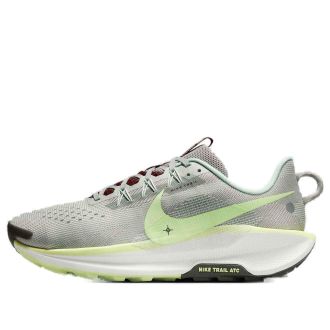 Nike Pegasus Trail 5 Light Silver College Grey Volt DV3864-004