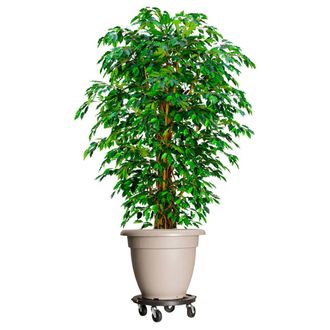 vidaXL Soporte Con Ruedas Para Plantas 3 Uds Negro Di&aacute;metro 40cm 275kg Vidaxl