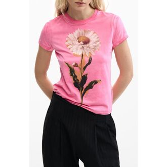 Desigual Floral Cotton Graphic T-Shirt in Pink at Nordstrom, Size Medium
