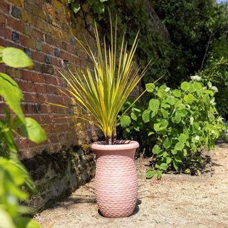 PRIMROSE Rib Textured Fibrecotta Tall Round Planter In Dust Pink 44cm