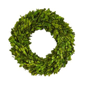 Nearly Natural 14-in Preserved Boxwood Wreath in Green at Nordstrom