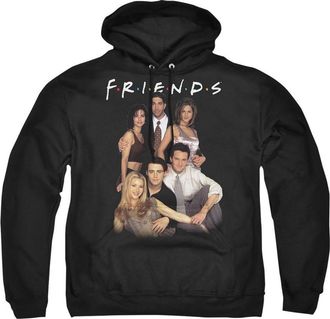 Gildan Friends Stand Together Adult Pull Over Hoodie / Hooded Sweatshirt