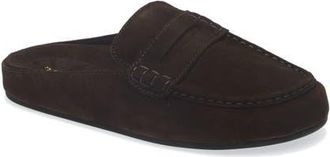 Jeffrey Campbell Miles Loafer Mule in Brown Suede at Nordstrom, Size 6.5