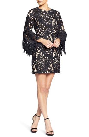 Dress The Population Dylan Crochet Shift Dress in Black/Nude at Nordstrom, Size Xx-Large