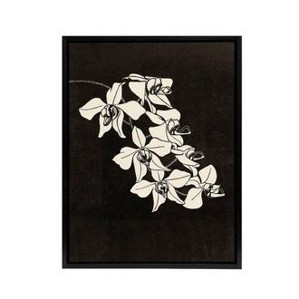 Artery8 Black & White Orchid Flower De Mesquita Framed Canvas Wall Art Print | Size: W24 x H32