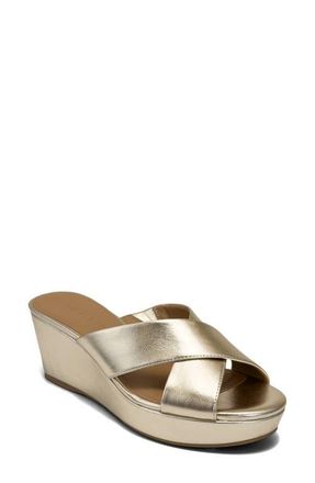 Aerosoles Cruis Platform Wedge Sandal in Soft Gold at Nordstrom, Size 9.5