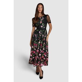 Coast Lace Trim Embroidered Mesh Midi Dress in Black at Nordstrom, Size 6
