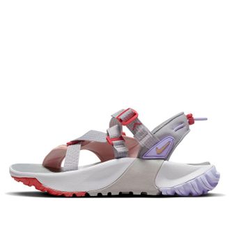Nike (WMNS) Nike Oneonata Gray Purple DJ6601-003