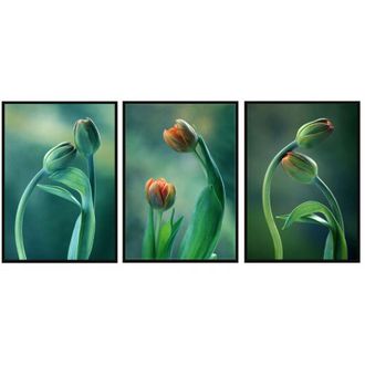 OEM Cuadro Enmarcado 53x73cm Tr&iacute;ptico Conjunto De 3 Cuadros Tulipanes Flores Hierba P2002