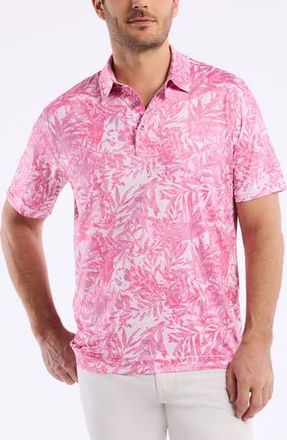 Robert Graham Ives Knit Polo in Light Pink at Nordstrom Rack, Size Xxx-Large