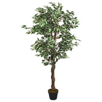 vidaXL Rbol Ficus Artificial Con 1260 Hojas Verde 200 Cm Vidaxl