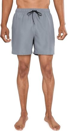 Nike Breaker Swoosh Break 5 Brief Lined Volley Mens Swimwear Cool Grey : 2XL, Polyester