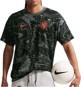 Nike Netherlands 2026 T-Shirt Iron Grey IQ2266-068