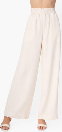 Cami NYC Hudson Wide Leg Pants in Ceramic at Nordstrom, Size 10