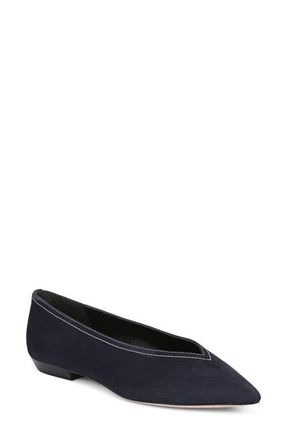 Veronica Beard Bancroft Pointed Toe Flat in Navy at Nordstrom, Size 5.5