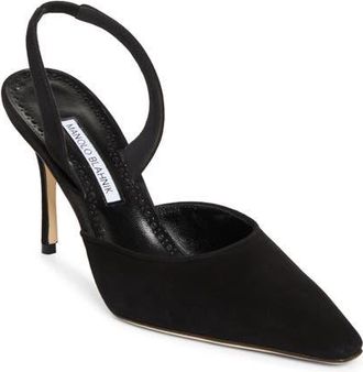 Manolo Blahnik Borelapla Slingback Pump in Black at Nordstrom, Size 10.5Us