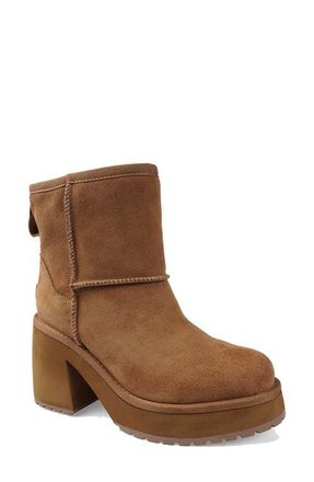 Candie's Luccia Platform Bootie in Natural Suede at Nordstrom, Size 10