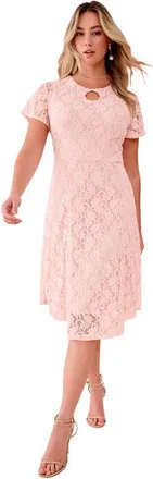 Roaman's Keyhole Lace Dress in Soft Blush at Nordstrom, Size 24