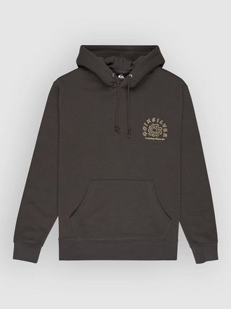 Quiksilver Salt Water Graphic Hoodie grau