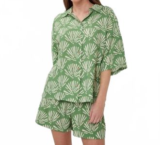 Esqualo Tropical Print Collared Blouse In Multi
