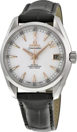 Omega Pre-owned Omega Seamaster Silver Dial Mens Watch 231.13.39.21.02.002