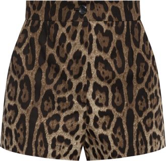 Dolce & Gabbana Korte Broeken, Dames, Bruin, XS, Katoen, Shorts met dierenprint