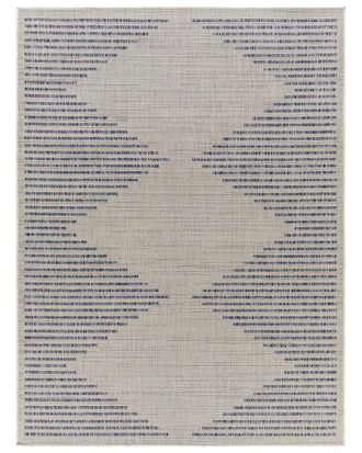 Surya Tuareg Indoor/Outdoor Rug