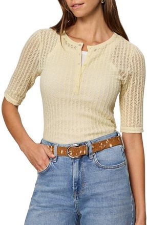 Sanctuary Going Place Pointelle Sweater in Lemon Drop Yellow at Nordstrom, Size X-Small