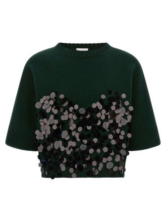 Nude Green Embellished Crew Neck Sweater