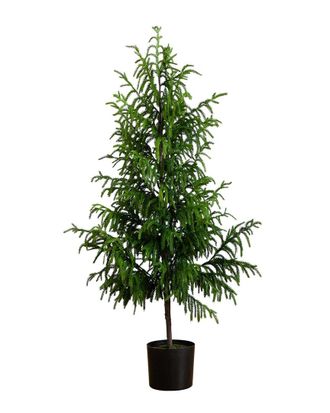 Nearly Natural 5ft Artificial Norfolk Pine Tree