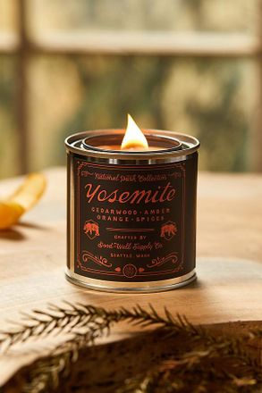Terrain National Park Tin Candle