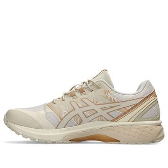 Asics Gel-Terrain Birch 1203A342-200