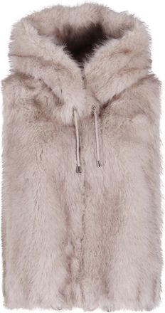 VALENTINI 1972 Eco Zibellino