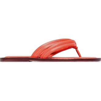 Bernardo Miami Thong Sandal in Sunset Orange at Nordstrom, Size 8.5