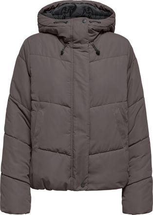 Only Steppjacke ONLY ONLMAGGI LIFE SHORT PUFFER CC OTW, Damen, Gr. L, plum kitten, Web, Obermaterial: 100% Polyester, unifarben, regular fit, Jacken Steppj