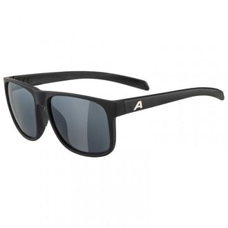 Alpina Nacan III Mirror Cat. 3 Sonnenbrille - Unisex | grau