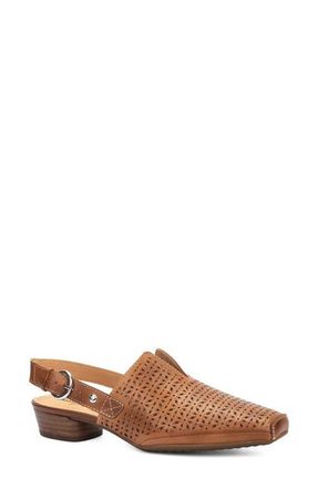 Pikolinos Alameda Slingback Clog in Brandy at Nordstrom, Size 10-10.5Us
