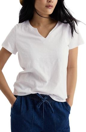 Seasalt Cornwall Kellow V-Neck Organic Cotton T-Shirt at Nordstrom, Size 18