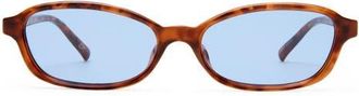 Le Specs Honey Pot 55mm Oval Sunglasses in Amber Tort /Dusty Blue Tint at Nordstrom