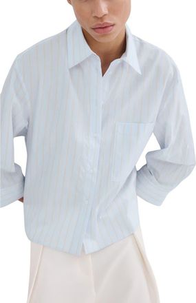 Mango Stripe Cotton Button-Up Shirt in Sky Blue at Nordstrom, Size 10