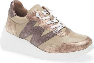 Wonders Kyoto Sneaker in Elvin Oro/W.taupe/E.plomo at Nordstrom, Size 9.5-10Us