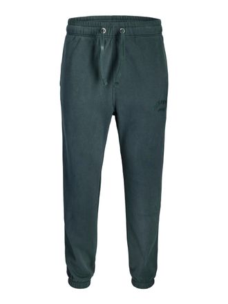 Jack & Jones Sweathose JACK & JONES JPSTKANE BLEECKER SWEAT PANTS BF, Herren, Gr. S, N-Gr, forest river, Web, Obermaterial: 70% Baumwolle, 30% Polyester, unifarben