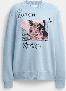 Coach Floppy Intarsia Crewneck Sweater