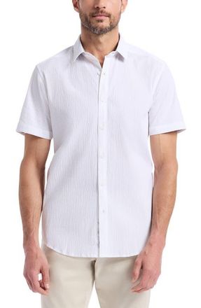 Robert Graham Thresher Short Sleeve Button-Up Shirt in White at Nordstrom, Size Xxx-Large