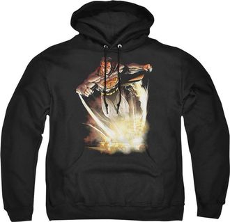 Gildan Superman Adult Pull Over Hoodie / Hooded Sweatshirt