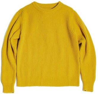 Fortela Alberto Wool Crewneck Sweater in Military Green at Nordstrom, Size X-Large Eu